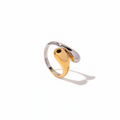 Anillo Aura