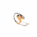 Anillo Aura