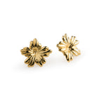 Pendientes Florencia