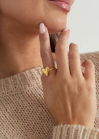 Anillo Lía